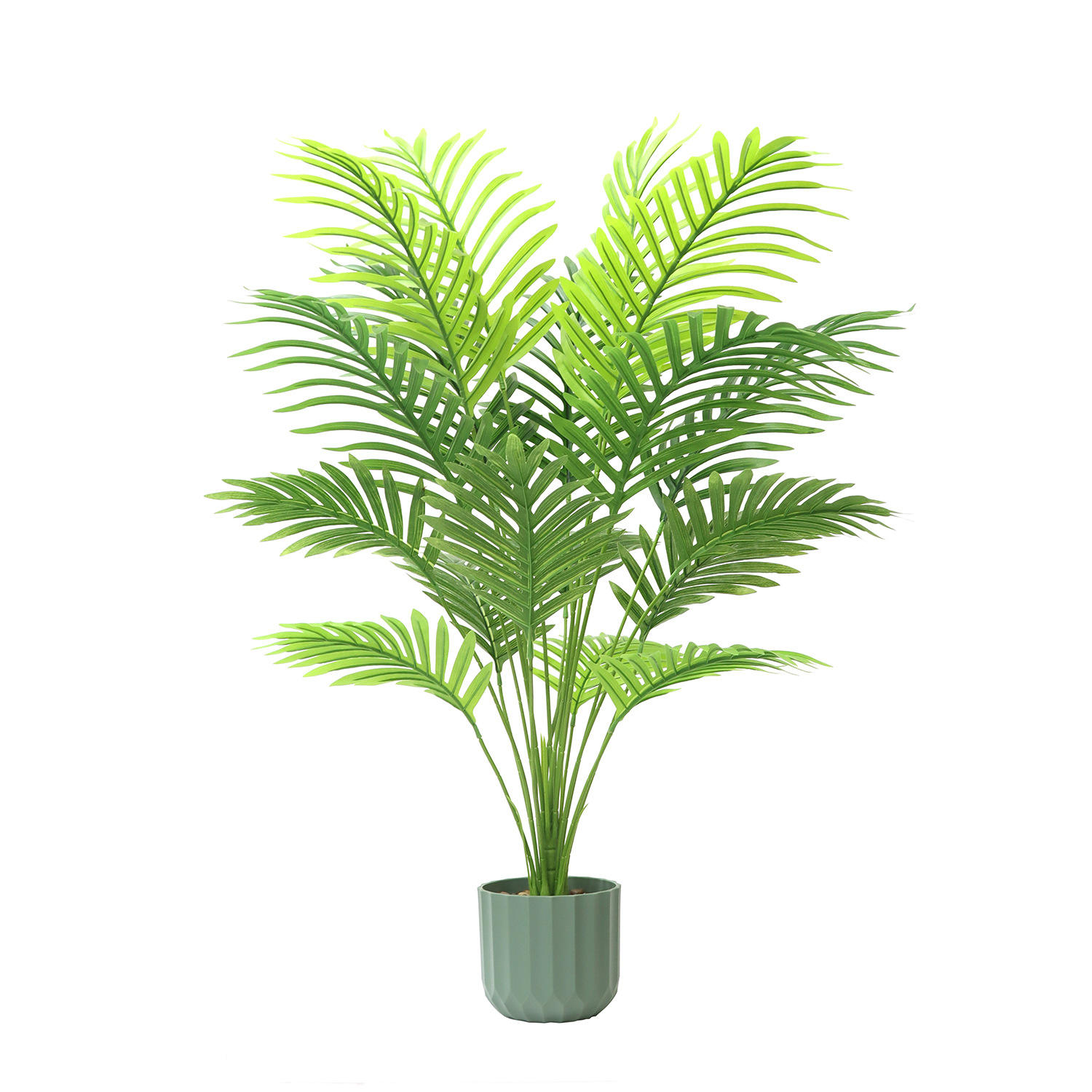 90cm Dypsis lutescens