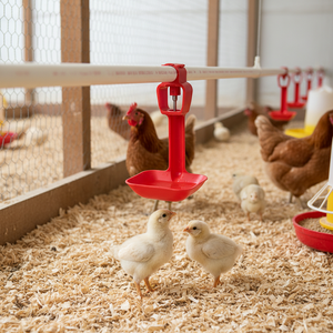 Nuevo Bebedero de Acero Inoxidable para Pollos, Conejos y Pollitos, Sistema de Línea de Agua para Aves de Corral PE PP AYTAV, Accesorio Automático para Bebederos de Granja - Product Image 3