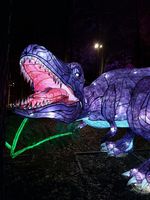 Lanterne de dinosaure LED personnalisée pour les événements nocturnes au zoo et aux parcs à thème