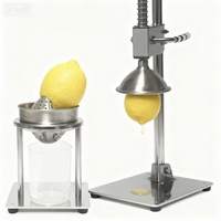 Hoge Efficiëntie Automatische Gezonde XH Spirale Fruitpers Juicer Machine Eenvoudig te bedienen Motor Commerciële Restaurant Houten Model