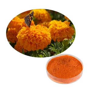 Top Quality Marigold Flower Extract 5% 20% Lutein Zeaxanthin Powder