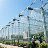 Commerciële grootschalige Venlo glazen kas voor hydroponische aardbeien- en sla-productie met verticale teelttechnologie