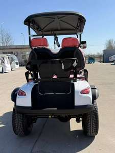Vehículo Eléctrico Club Car con Motor de 5kw, Batería de 48v, 2 Plazas, Chasis de Aluminio, Buggy para Caza, Controlador Curtis, Certificado DOT y EEC - Product Image 4
