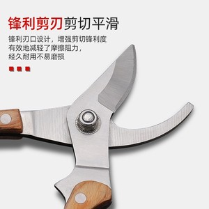 Sécateur Guanglong Works, lame en acier allié de 45 mm, forme de bec, outil de jardinage - Product Image 2