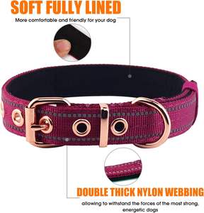 Yunleparks Collier de chien rembourré en néoprène, collier en nylon pour petits et grands chiens, robuste avec boucle en métal, réfléchissant (grand, - Product Image 5