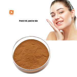 カレンデュラ<span class=keywords><strong>Officinalis</strong></span>花エキスカレンデュラフラボノイド1% 粉末有機カレンデュラエキス粉末 - Product Image 2