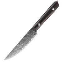 Couteau à fruits et à viande en acier Damas forgé, personnalisable avec logo OEM, en stock, éplucheur de fruits, couteau à steak domestique