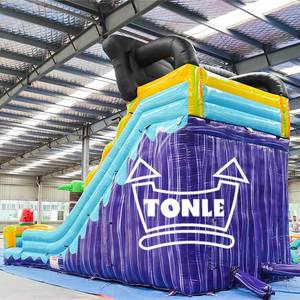 20ft cao thương mại Dual Lane đại dương trượt nước Inflatable bãi biển trượt nước với hồ bơi để bán - Product Image 5