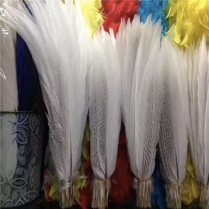 20-25cmシルバーキジの羽染めカラフルなシルバーキジの羽装飾用 - Product Image 4