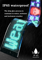 64*20 20*96 araç ön camı LED ekran şeytan gözü App kontrol dekoratif elektronik ekran Diy gösterge ışığı animasyonlu gözler
