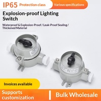 Interruptor de Iluminación Industrial a Prueba de Explosiones SW-10 de Aleación de Aluminio IP65 para Aplicaciones Petroleras y Químicas, Caja de Conversión de Energía