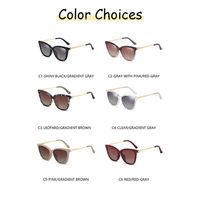 Lunettes de soleil à Clip pour femmes, monture en oeil de chat TR90 magnétique polarisée