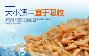 Paquete OEM para comida de tortugas acuáticas, camarones flotantes, Krill, liofilizado para reptiles, acuario, estanque, peces, <span class=keywords><strong>Koi</strong></span>, alimentación de cíclidos - Product Image 5