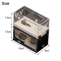 Ferme de fourmis en béton: nid décoré de racines avec expansion verticale illimitée pour les amateurs d'insectes