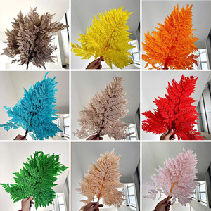 Hojas de Arachniodes Reales, Hojas Secas y Conservadas, Decoración para el Hogar y la Oficina, <span class=keywords><strong>10</strong></span> Piezas/Ramo, 40-50 cm, Graduación, Día de San Valentín - Product Image 5