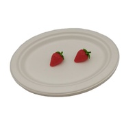 Assiettes à dessert en papier 100% compostables, en bagasse naturelle, biodégradables, écologiques, en canne à sucre, jetables