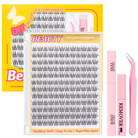 240 pièces 30D 40D Extensions de cils individuelles et en grappes 8-15 mm de longueur Design et logo personnalisables Kits d'extensions de cils DIY