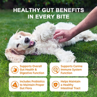 Friandises à mâcher probiotiques OEM pour chiens et chats - Santé intestinale, soutien immunitaire, santé digestive, biologiques et sans céréales