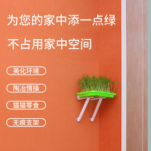 <b>Plastic</b> vegetable growing pots, balcony bean sprout seedling <b>trays</b>, hydroponic vegetable germination pots, sprouting pots with - Product Image 1