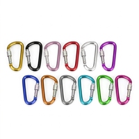 Promotion : Mousqueton en aluminium en forme de D, personnalisable avec logo gravé, mousqueton coloré en aluminium, boucle métallique pour les voyages en extérieur