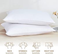 Oreillers de luxe pour la maison, housse en coton ultra-douce, oreiller respirant, oreiller d'hôtel extra moelleux en duvet d'oie