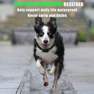 T720 전자 진동기 <span class=keywords><strong>Beeper</strong></span> 정적 충격 애완 동물 개 훈련 칼라 민첩성 훈련 제품 친환경 재고 - Product Image 3