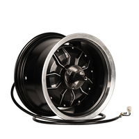 Moteur de moyeu étanche IP67 à aimant permanent sans balais CC 3000W 12 pouces à haut rendement pour kit de moto électrique pour Citycoco
