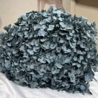 Fleurs d'hortensia séchées et préservées très demandées pour la décoration de la maison, des fêtes, des mariages, de la Saint-Valentin et de Noël - Toucher naturel
