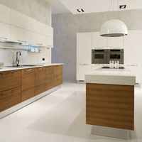 Projets de cuisine suspendus conception moderne d'armoires de cuisine pour la cuisine de la maison