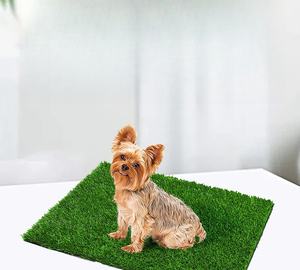 Vente en gros de gazon artificiel pour dressage de chiens d'intérieur, paillasson pour chiot, entraîneur de pot - Product Image 1