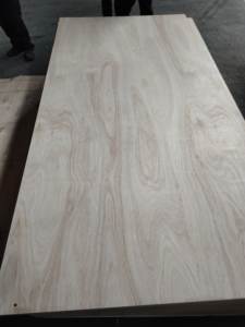 Arserwood <span class=keywords><strong>precio</strong></span> <span class=keywords><strong>de</strong></span> fábrica hoja <span class=keywords><strong>de</strong></span> madera contrachapada Lisa abedul eucalipto Álamo hojas <span class=keywords><strong>de</strong></span> madera contrachapada 12mm 15mm 18mm madera contrachapada para aislamiento - Product Image 2