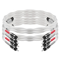 Version améliorée 5NOCC câble de haut-parleur en argent pur fiches bananes blindage combiné PVC-amplificateur Audio haut de gamme stock d'ordinateur