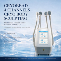 Équipement de cryothérapie multifonctionnel avec applicateurs de boules de glace et système de détection cutanée numérique pour les soins corporels bien-être en spa