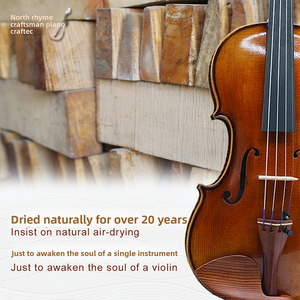 Violín para Estudiantes CHENTUO CT3.5, Superventas, Hecho a Mano, Madera Maciza de Arce, Estilo Vintage, Tapa de Abeto, Ébano, para Principiantes, China Liaoning - Product Image 5