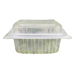 فرن ميكروويف آمن مضاد للضباب بثور PP شفاف بلاستيك يمكن التخلص منه بغطاء مفصلي حاويات طعام