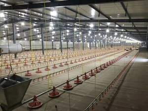 Compre nuevos bebederos automáticos para aves de corral para pollos Equipo agrícola eficiente para alimentación de pollos - Product Image 6