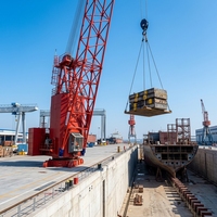 Grue de chantier électrique personnalisée 10T, portée maximale 45m, rotation à 360°, grue sur piédestal pour réparation et construction navale