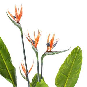 Chứng Nhận Chất Lượng Cao Nhân Tạo Chim Thiên Đường Cây Strelitzia Hoa Bất Động Cảm Ứng Hoa Nhựa Cho Khách Sạn Ngoài Trời/Văn Phòng - Product Image 3