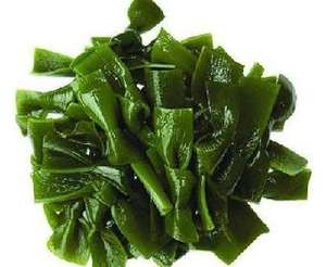 Fabricante Springjia <span class=keywords><strong>Kelp</strong></span> <span class=keywords><strong>Fucoxanthin</strong></span> Extrato Em Pó Natural Laminação Suplemento De Algas Marinhas em Garrafa Tambor Recipiente De Plástico - Product Image 2