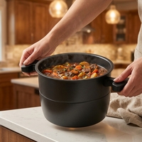 Cuisinière électrique multifonctionnelle 8-en-1 en acier inoxydable 6L avec écran LED numérique couleur et commande mécanique antiadhésive