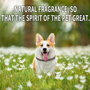 <span class=keywords><strong>Collar</strong></span> de feromonas para perros, etiqueta personalizada con fórmula natural para reducir la ansiedad de mascotas - Product Image 4