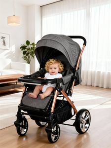 Passeggino Multifunzionale 180 °   Angolo Regolabile |   Ruote Pieghevoli Portatili con Assorbimento degli Urti, Colori Personalizzabili - Product Image 2