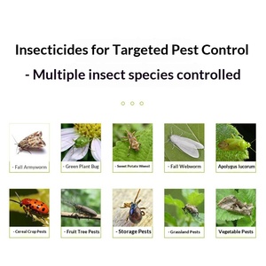 Piège à mouches du riz réutilisable en plastique pour le contrôle des insectes en extérieur – Piège à coléoptères en forme de baril - Product Image 6