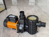Pompe de circulation pour piscine à eau de mer, moteur de petite puissance 0,35 ch, 0,5 ch, 0,75 ch