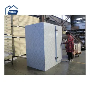 Fiyat 10ft Mini kolay işletmek soğuk pu paneli konteyner ticari soğutma kompresör ünitesi dondurucu depolama odası et tedarikçisi
