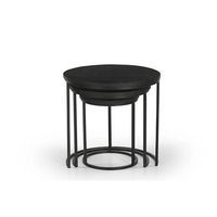 Ensemble de tables basses gigognes modernes en métal de style luxueux avec design décoratif, meubles écologiques pour salon et chambre à coucher