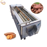 Automatische Cassave Peeling En Wasmachine Ce Geautomatiseerde Wortel En Aardappelschiller Industriële Gemberschilmachine