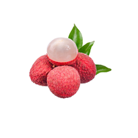 Fabrieksleverancier van lycheepoeder, lycheefruitpoeder, lycheesappoeder, lycheepoeder