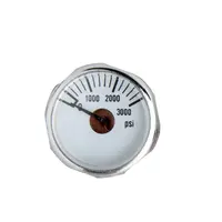 0-3000Psi High quality various types customized dial 1inch 25mm mini pressure gauge