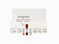 Kit de préparation d'échantillons d'ADN résiduel de cellules hôte (perles magnétiques) compatible avec l'extraction manuelle et l'extraction automatique.